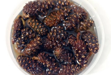 Çam Kozalağı Reçeli Tarifi ve Malzemeleri